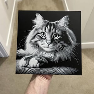 3D picture cat longhair wall picture art print cat living room decoration animal motif wall art cat design high-quality art print Maincoon