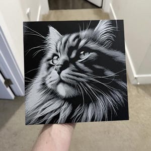 3D picture cat wall picture art print cat living room decoration animal motif wall art cat high-quality art print