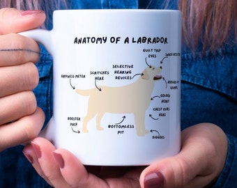 Labrador Mug. Anatomy of a Labrador. 10oz ceramic mug.  Cute Labrador retriever Mug. Valentine gift for dog lover. Birthday gift. Dog mum