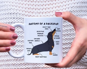 Anatomy of a Dachshund Mug, Sausage Dog Gift
