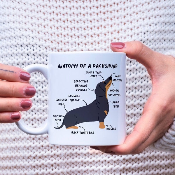 Dachshund Mug.  10oz ceramic mug. Anatomy of a dachshund. Cute sausage dog mug. Birthday gift for dog lover. Christmas gift.