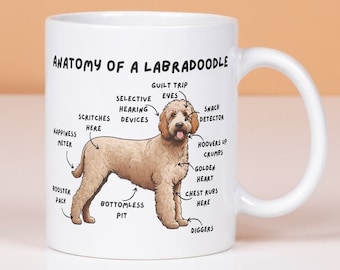Labradoodle Mug.  10oz ceramic mug. Anatomy of a Labradoodle. Cute doodle dog Mug. Gift for dog lover.  Christmas gift for dog mum dog dad