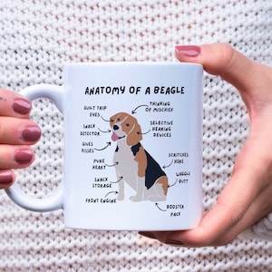 May include: White ceramic mug featuring a cartoon beagle illustration with the text "Anatomy of a Beagle". The beagle is depicted sitting with its legs crossed, sporting a brown and black coat. Surrounding the beagle are labels describing various parts of its body, including "guilt trip eyes", "snack detector", "pure heart", "snack storage", "front engine", "thinking of mischief", "selective hearing devices", "scritches here", "waggle butt", and "booster pack".