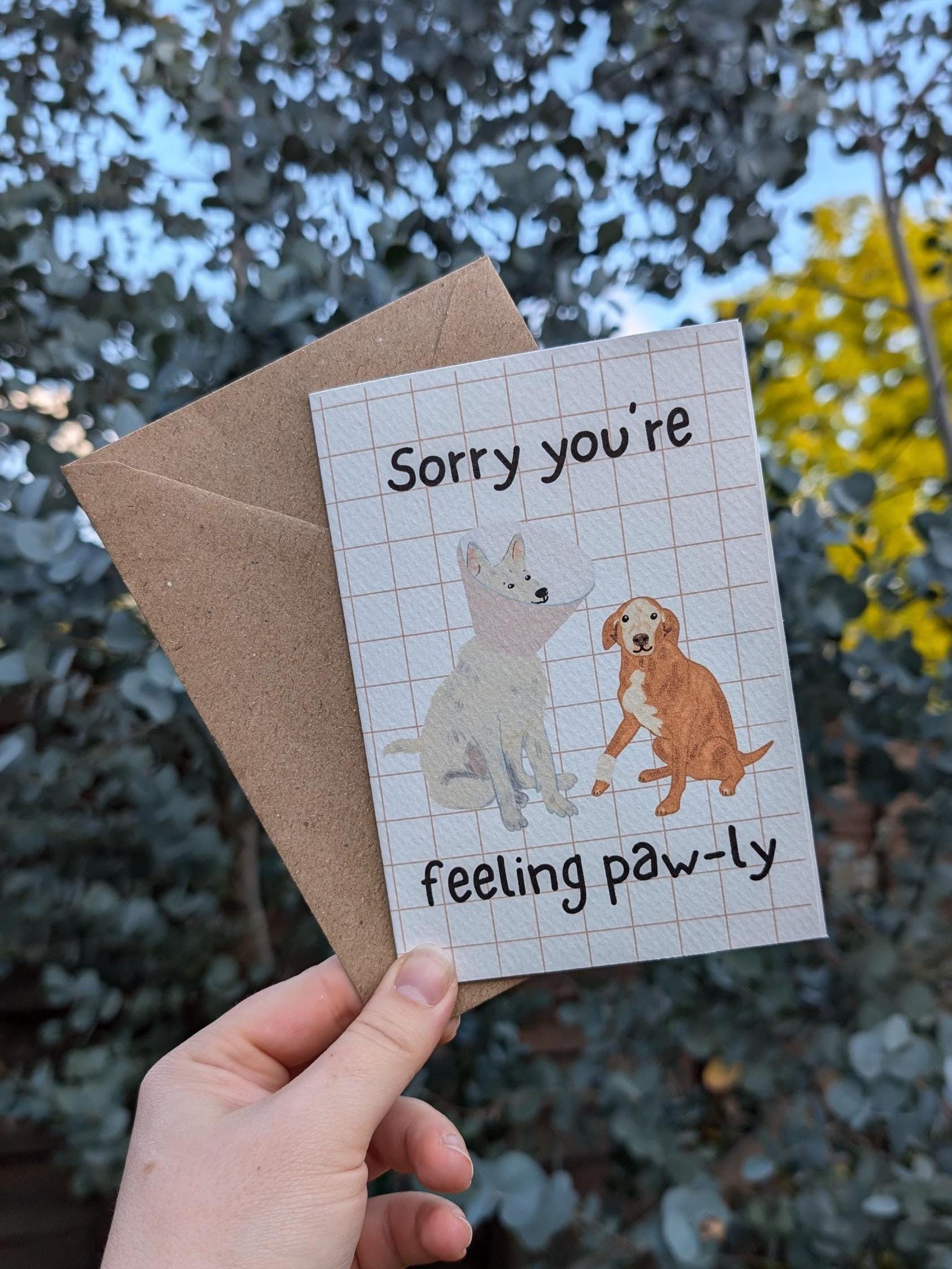 Sorry You're Feeling Pawly - Cute Border Collie Dog Get Well Soon Pun\" Greeting Card For Sale By LEFDDesigns