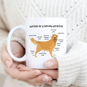 Golden retriever Mug.  10oz ceramic mug. Anatomy of a golden retriever. Cute golden retriever Mug. Gift for dog lover.  Christmas gift