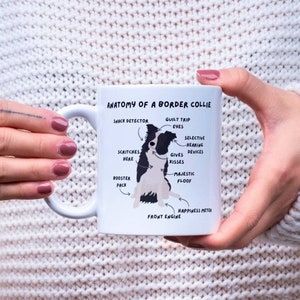 Border Collie Mug.  10oz ceramic mug. Anatomy of a border collie. Cute border collie mug. Birthday gift for dog lover. Christmas gift.