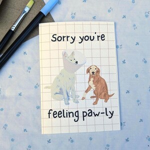Carte de rétablissement. Carte illustrée pour les amoureux des chiens « Désolé, vous ne vous sentez pas à l'aise avec les pattes ». Carte A6 et enveloppe