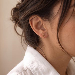 Pendientes de botón con forma de serpiente pitón, pequeños pendientes de botón con forma de serpiente, pendientes de botón planos con forma de serpiente diminuta, pendientes de botón llamativos
