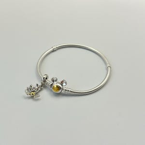 Pandora S925 ALE  100 Anniversary Charm and Bracelet Set