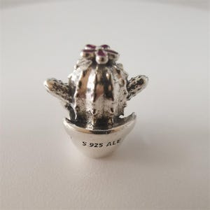 Pandora Sterling Silver Free Hugs Cactus Love Charm Flower Pot bead