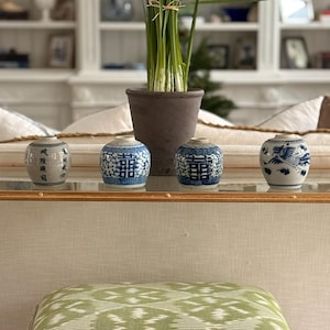 May include: A collection of small, decorative ceramic jars with blue and white patterns and Chinese characters. A potted plant with long green leaves sits behind the jars. The jars are displayed on a glass surface.