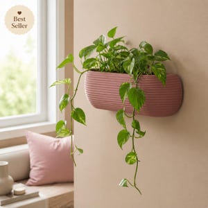 Puede incluir: Una jardinera de pared rosa y acanalada llena de plantas verdes. La jardinera, de forma ovalada, cuelga de una pared de color claro. Las plantas tienen hojas verdes con variegaciones amarillas, y algunas enredaderas caen. Una pegatina de "Best Seller" está arriba a la izquierda.