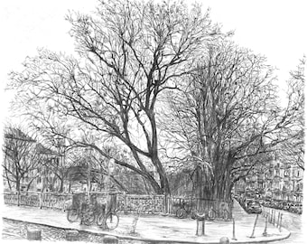 May include: A detailed pencil sketch of a city street scene. The artwork depicts bare trees, buildings, parked cars, and bicycles. A street sign is visible. The drawing is in black and white, capturing the urban landscape.