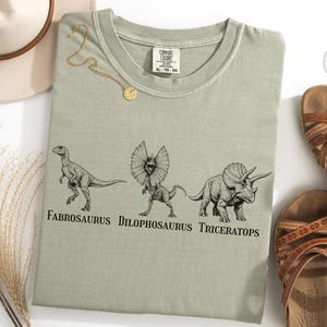 Subtle FDT Dinosaur Shirt, Anti Trump Feminist Shirt, Democrat Gift, Comfort Colors Dinosaur Tee, Dinosaur Lover Gift, FDT Shirt