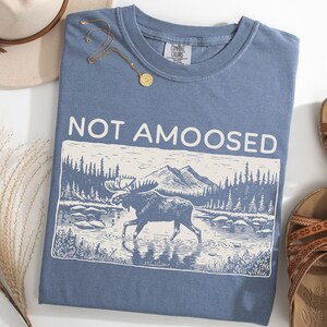 May include: Blue jean colored t-shirt with the words "NOT AMOOSED" above a graphic of a moose in a river. The graphic is in a rectangular frame with a mountain and forest scene. A pair of brown sandals and a hat are next to the shirt.
