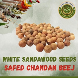 White Sandalwood Seeds: Fragrant Shreegandha Plant - Sirium myrtifolium