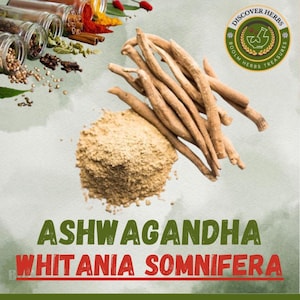Polvere di radice di Ashwagandha: ginseng indiano adattogeno di BHT