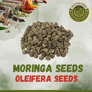 Semillas frescas de Moringa Oleifera: Árbol de la Palita, Sahjan - de BHT