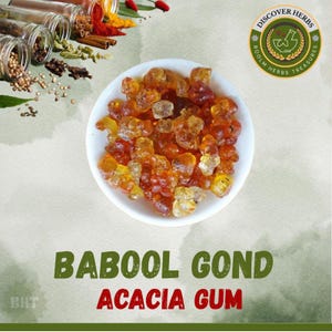 Babool Gond (Gum Arabic): Wild Acacia Tree Tears
