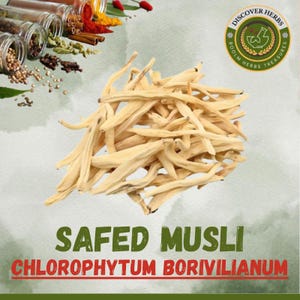 Radice di musli Safed biologica: erba di musli bianco (Chlorophytum borivilianum) di BHT