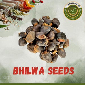 Bhilawa Seeds, Bilva Beej,Bhilava,Bilwa,Bhilava Powder,Bhilawa Powder,Bilva Beej Powder-Bilwa Powder