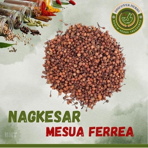 Nagkesar whole and Powder: Indian Herb, Ochrocarpus Longifolius
