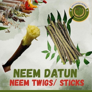 Natural Neem Datun Sticks: Traditional Teeth Cleaning, Zero Pesticides