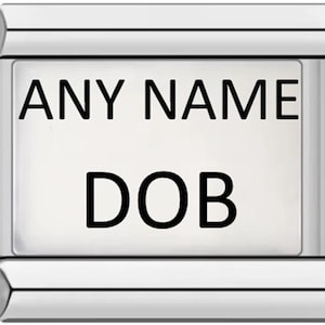 May include: A rectangular silver charm with the words "ANY NAME" above "DOB" in black lettering. The charm has a white background and is designed to be a personalized accessory.
