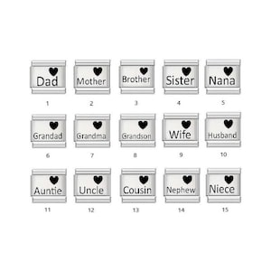 Puede incluir: Una colección de quince eslabones modulares rectangulares de tono plateado para pulsera, cada uno con un icono de corazón negro sobre un título familiar. Los títulos incluyen Dad, Mother, Brother, Sister, Nana, Grandad, Grandma, Grandson, Wife, Husband, Auntie, Uncle, Cousin, Nephew y Niece, numerados del uno al quince.