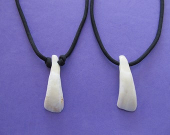 25 BUFFALO TEETH DRILLED TAXIDERMY BEADS JEWELRY CRAFTS NECKLACE PENDANTS TOOTH 