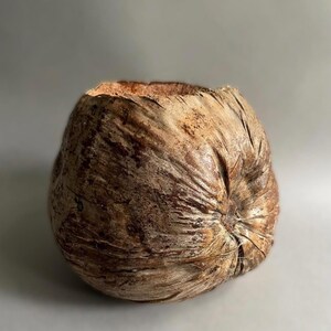 Könnte beinhalten: Eine braune, strukturierte Kokosnussschale mit einer rauen, offenen Oberseite. Die Schale hat ein natürliches, organisches Aussehen mit verschiedenen Braun- und Beigetönen. Die Schale ist intakt und zeigt die natürlichen Fasern der Kokosnuss.
