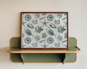 Sea Shell Wall Art – Coastal Boho Printable – Earth Tone Shell Print – Beach Home Decor