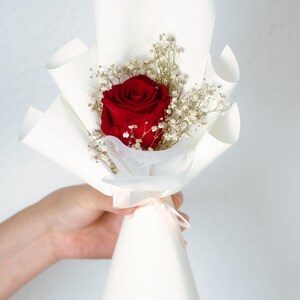 Könnte beinhalten: Ein einzelner, leuchtend roter Rose ist der Mittelpunkt dieses kleinen Bouquets. Die Rose ist von zartem weißen Schleierkraut umgeben und in weißes Papier gewickelt. Ein hellrosa Band sichert die Basis des Bouquets und schafft ein einfaches, elegantes Blumenarrangement.