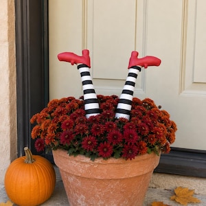 May include: A pair of decorative legs with black and white horizontal stripes and red shoes, positioned upright within a terracotta planter filled with dark orange and red chrysanthemum flowers, accompanied by a single orange pumpkin.
