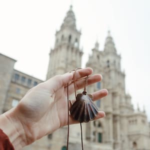 Camino Shell necklace