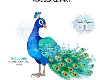 Peacock-clipart: vectorafbeeldingen, hoge resolutie png/jp (directe download)