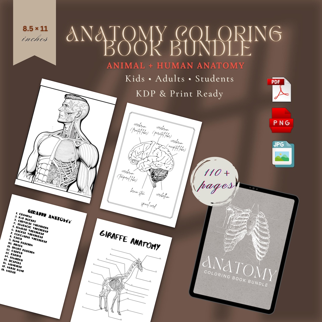 Anatomy Coloring Book Bundle | Human Body & Animal Anatomy | Anatomy ...