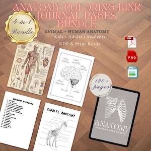 May include: Anatomy coloring journal pages bundle featuring animal and human anatomy for kids, adults, and students. Includes a giraffe anatomy page, a human skeleton diagram, and a brain diagram. The bundle is KDP and print ready, with over 120 pages.