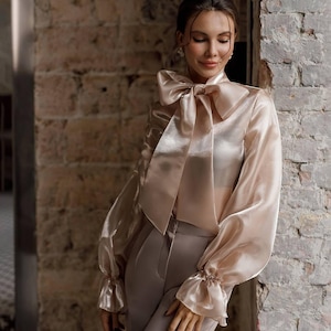 Beige Organza Blouse: Sheer Long Sleeve Tie Neck Top