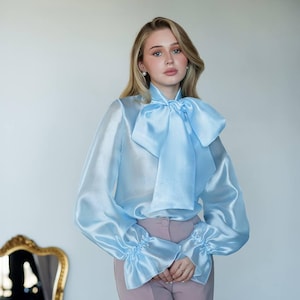 Sheer Organza Blouse: Light Blue Long Sleeve Tie Neck Top