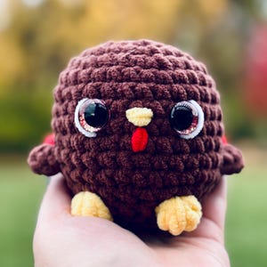 May include: A handmade, crocheted turkey with a round, brown body. It has large, glossy eyes with white accents, a yellow beak, and a red wattle. The turkey's feet are yellow, and it has small brown wings. This plush toy is a festive decoration.