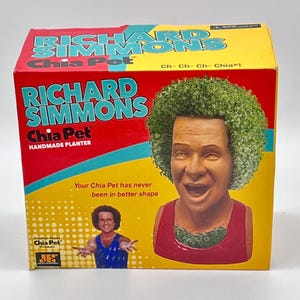 Richard Simmons Chia Pet Planter | Retro Pop Culture Gift (NIB)