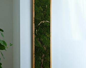 Bonsai Moss Wall Art, Preserved Green Panel, Modern Rustic Decor