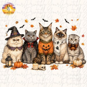 May include: A digital illustration of five cats dressed for Halloween. One wears a witch hat, one a vampire cape, one a pumpkin sweater, one a ghost scarf, and one a plaid bow tie. They are surrounded by pumpkins, a lantern, a skull, and leaves.