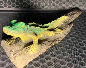 Lizard / Iguana on Driftwood
