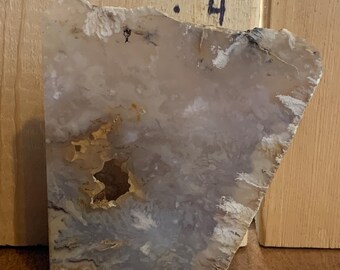 Large 1 lb Banded Agate Specimen – Botryoidal Chalcedony Geode – Natural Mineral Display Piece – Unique Collector Stone