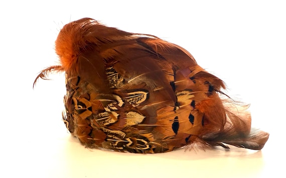 Vintage 1950s Pheasant Feather Half Hat, Gimbels Hat Box