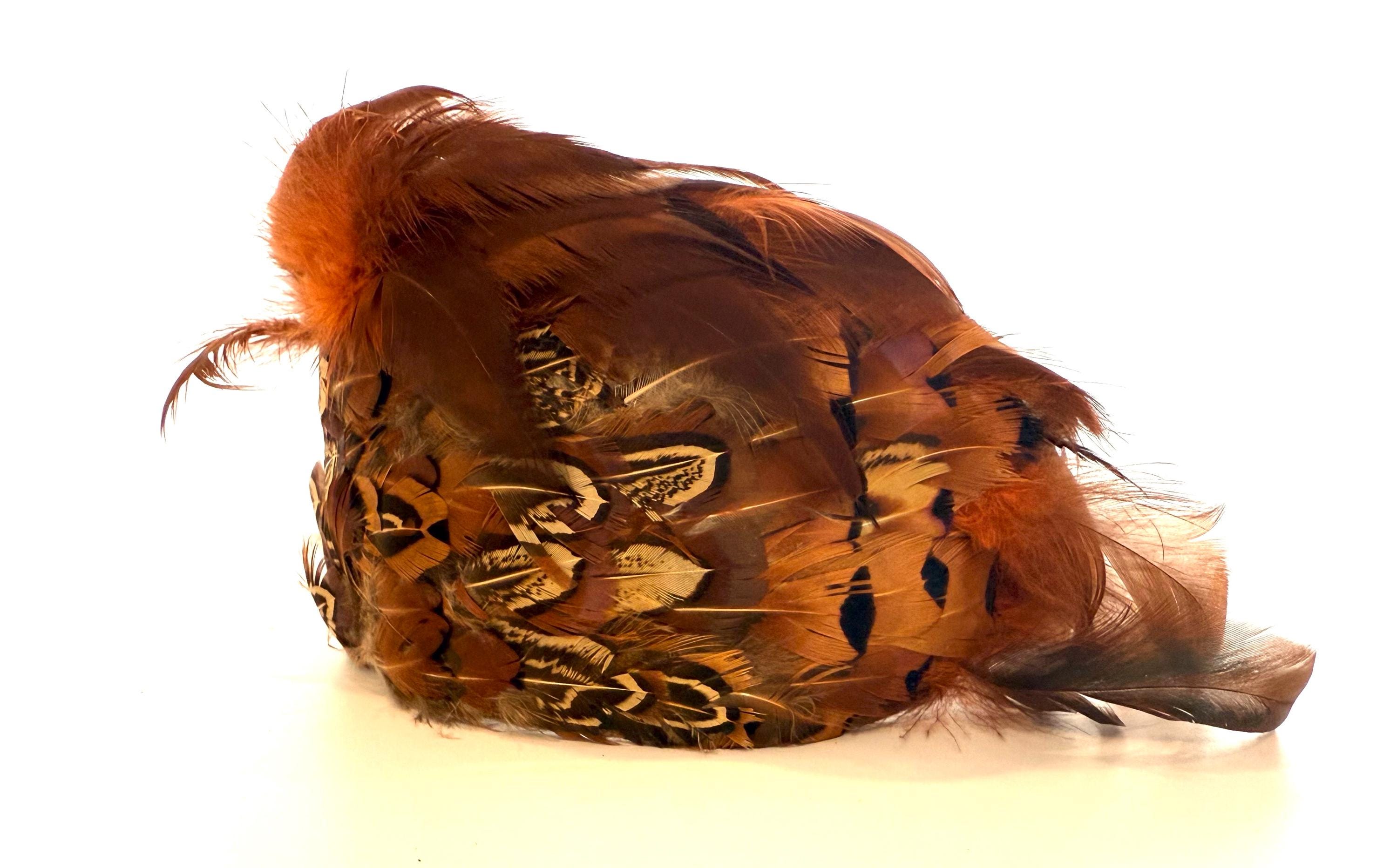 1950s Pheasant Hat - Etsy display picture 3