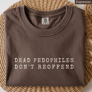 Dead Pedophiles Dont Reoffend Shirt, Protect Our Children Social Justice Tee, Anti Predator Activist Shirt, End The Island Secrets Gift,