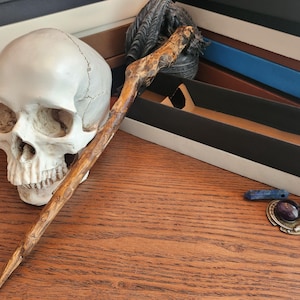 Puede incluir: Una calavera blanca descansa sobre una superficie de madera junto a una varita de madera tallada. También hay varios anillos y una piedra azul. El fondo incluye cajas decorativas en negro, marrón y azul.